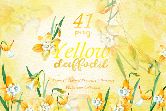 Download Yellow Daffodil Watercolor - Premium Resources