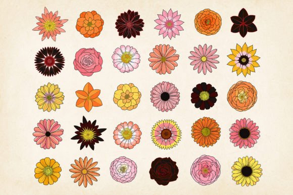 Download Fall &amp; Halloween Flowers SVG Bundle - Bundle Collection