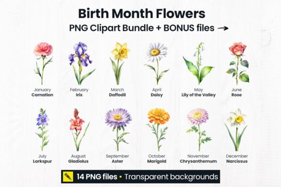 Download Birth Month Flowers Bundle PNG - Bundle Collection