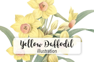 Download Yellow Daffodil Watercolor Flower - Premium Resources
