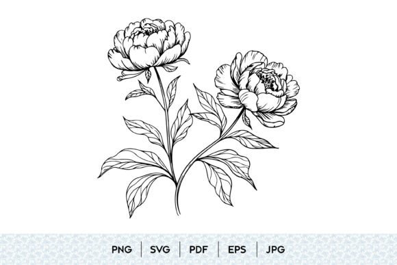 Download Peony Flower SVG Bundle - Bundle Collection