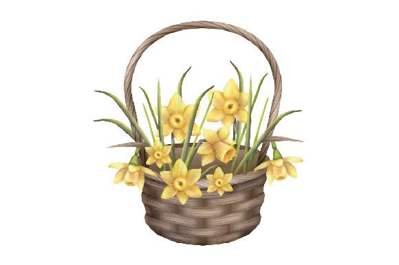 Download Bouquet of Yellow Daffodil Flowers in a Basket, Watercolor - Premium Resources