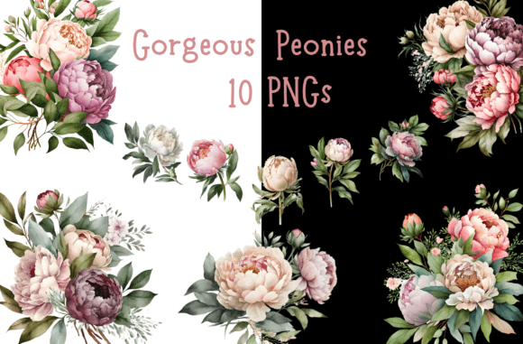 Download Watercolor Peony Floral Bundle - Bundle Collection