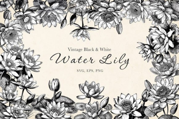 Download Lotus, Waterlily Vintage B&amp;W SVG Bundle - Bundle Collection