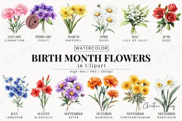 Download Birth Month Flower Clipart Bundle - Bundle Collection