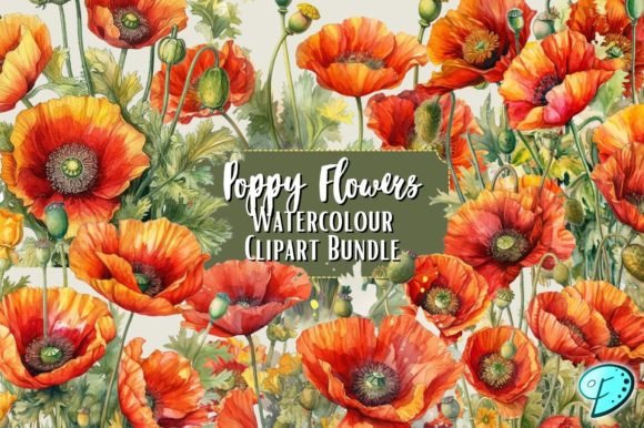 Download Poppy Flowers Watercolour Clipart Bundle - Bundle Collection