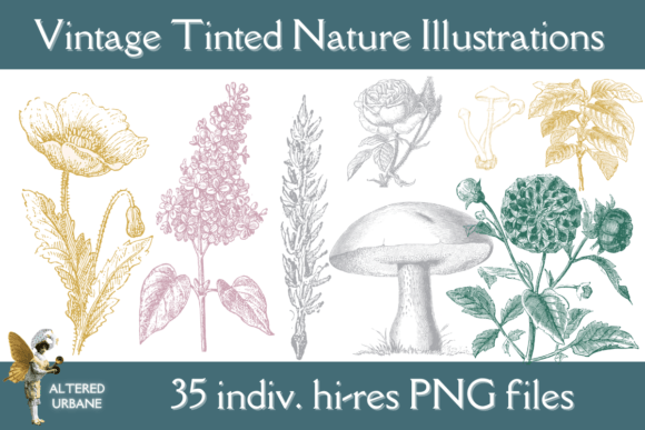 Download Vintage Tinted Nature Illustrations - Nature illustrations Collection