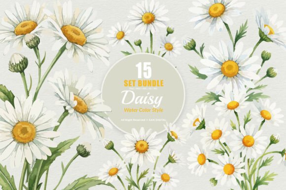 Download 15 Bundle Watercolor Daisy Flower White - Bundle Collection
